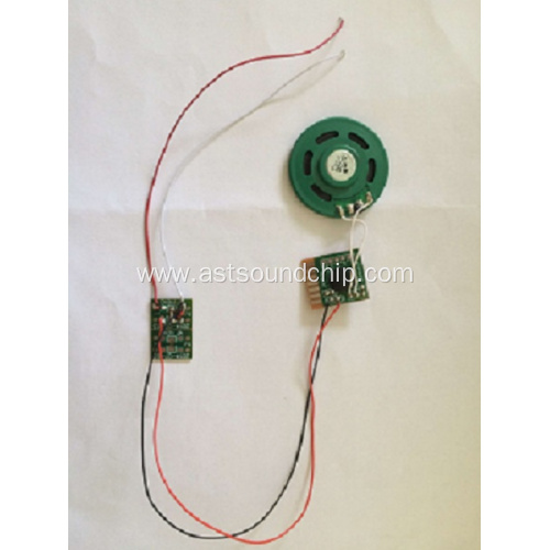 AC Power sound module,sound chip,voice module,vocal module